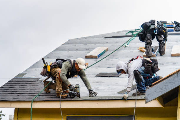 Professional Roofing technician working in East Olympia, WA
